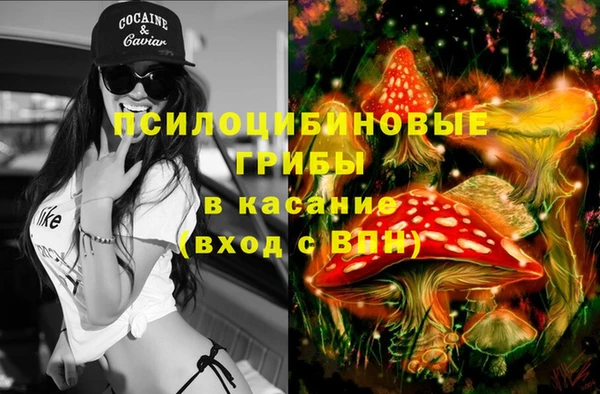 шишки Алзамай